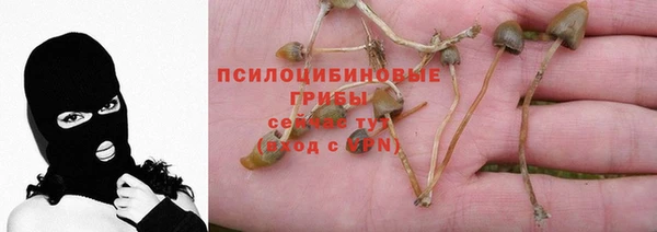 spice Дмитровск