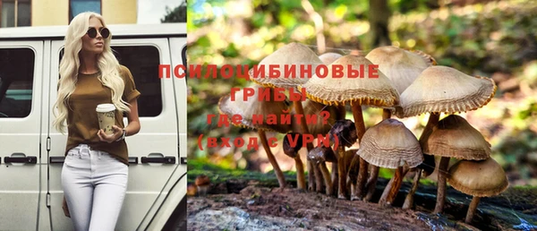 гашишное масло Дмитриев
