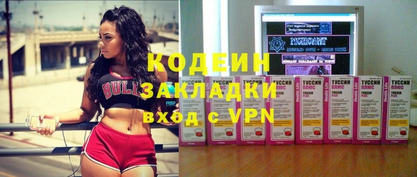 хмурый Щучье