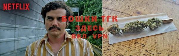spice Дмитровск