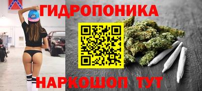 герыч Кингисепп