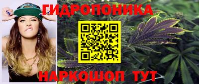 эйфоретик Краснознаменск