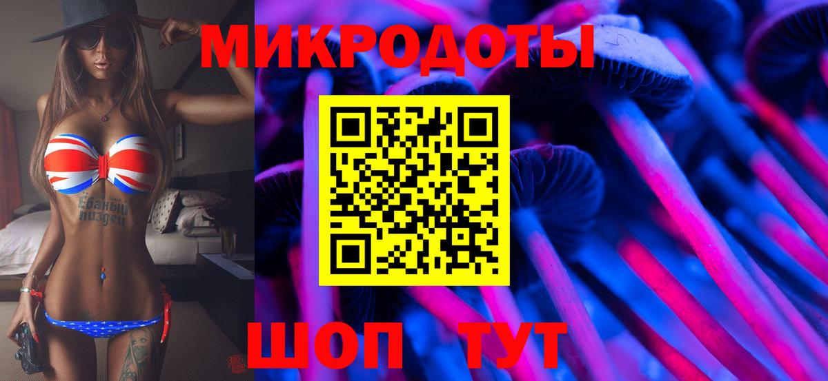 Псилоцибиновые грибы прущие грибы Междуреченск